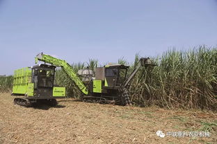 荣耀见证实力，创新引领未来——中联重科荣获2017中国农机年度产品50强多项大奖